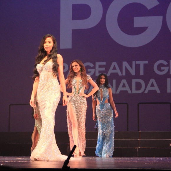 Prom/Wedding/Pageant/Quincenera sequin silver dress - Picture 4 of 6